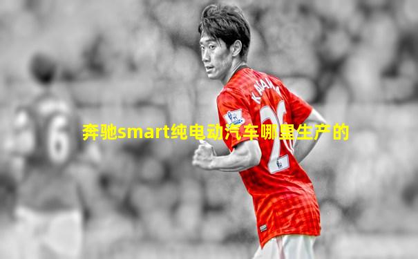 奔驰smart纯电动汽车哪里生产的