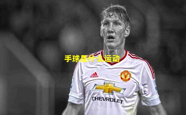 手球是什么运动