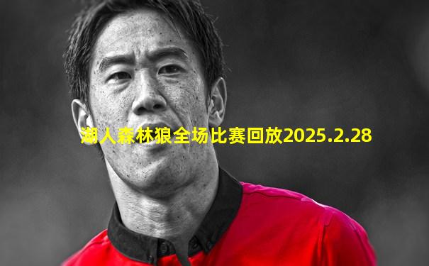 湖人森林狼全场比赛回放2025.2.28