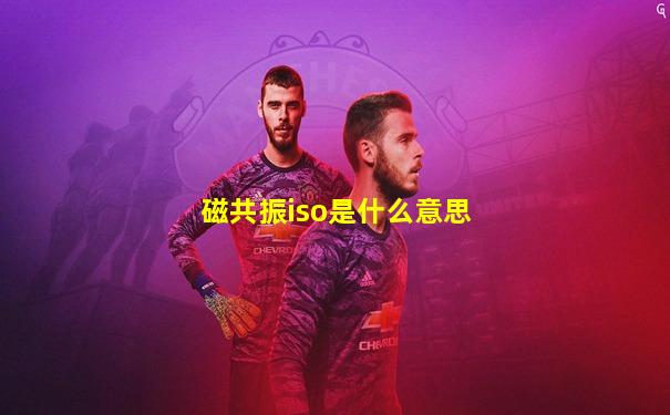 磁共振iso是什么意思