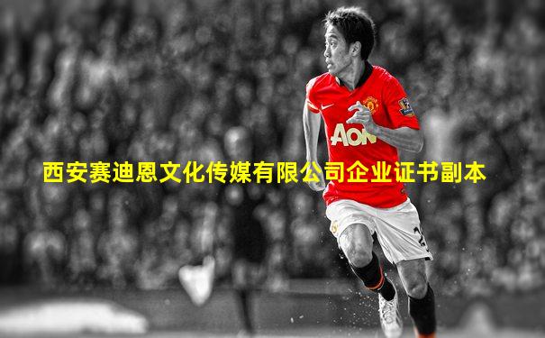 西安赛迪恩文化传媒有限公司企业证书副本