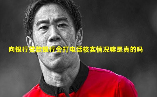 向银行贷款银行会打电话核实情况嘛是真的吗