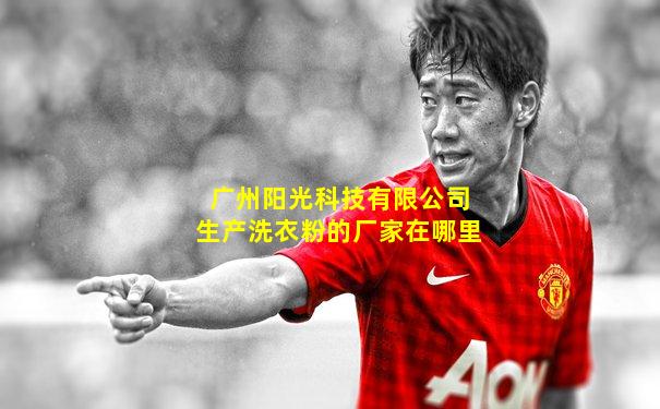 广州阳光科技有限公司生产洗衣粉的厂家在哪里