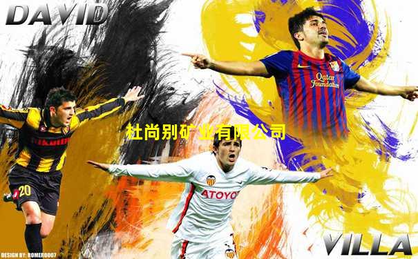 杜尚别矿业有限公司