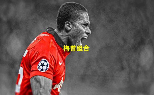 梅普组合