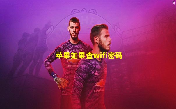 苹果如果查wifi密码