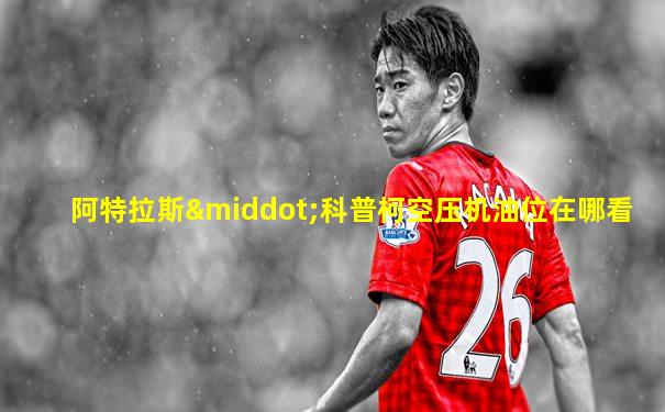 阿特拉斯·科普柯空压机油位在哪看